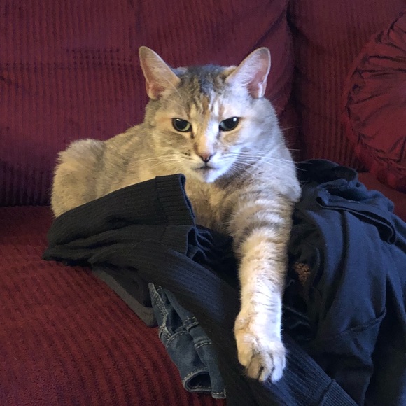 Meet your Posher, Rita Marie - Picture 8 of 10